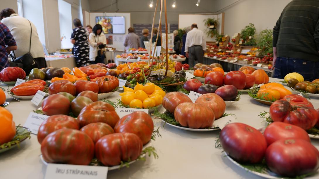 Выставка «Парад томатов 2019»