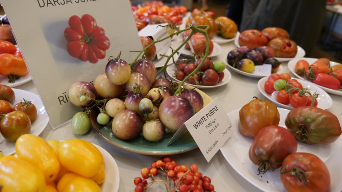 Выставка «Парад томатов 2019»