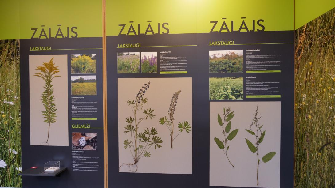 Exhibition “Alien Species in the Natural Environment of Latvia”