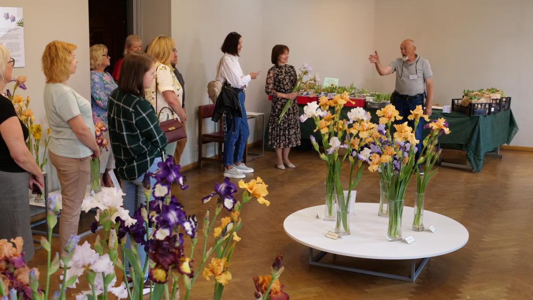 Exhibition "Irises 2023"