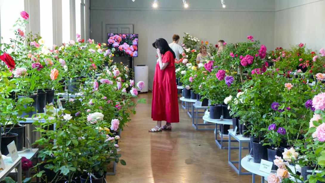Exhibition "Roses 2024"