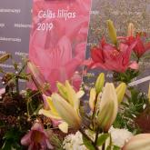 Выставка «Благородные лилии 2019»