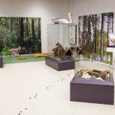 Exhibition "The Latvian Museum of Natural History 175” at the shopping center "Aleja"