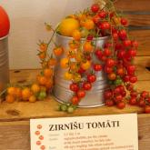 Выставка «Парад томатов 2022»