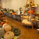 Exhibition "Pumpkins 2022"