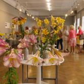 Exhibition "Lilies 2023"