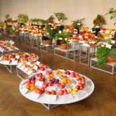 Exhibition "Tomatoes and herbs 2023"