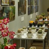 Exhibition “Cacti 2024”