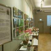 Exhibition “Cacti 2024”