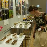 Exhibition “Cacti 2024”