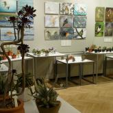 Exhibition “Cacti 2024”