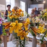Anniversary exhibition "Lilies 2024"