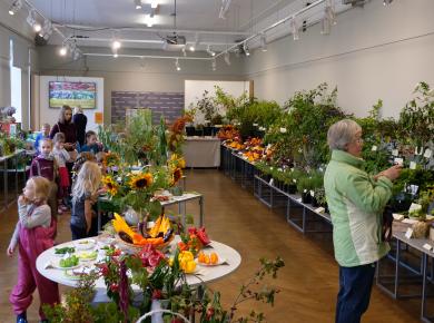 Exhibition "Herbs and vegetables 2019"