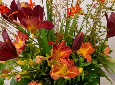 Exhibition "Daylilies 2020"