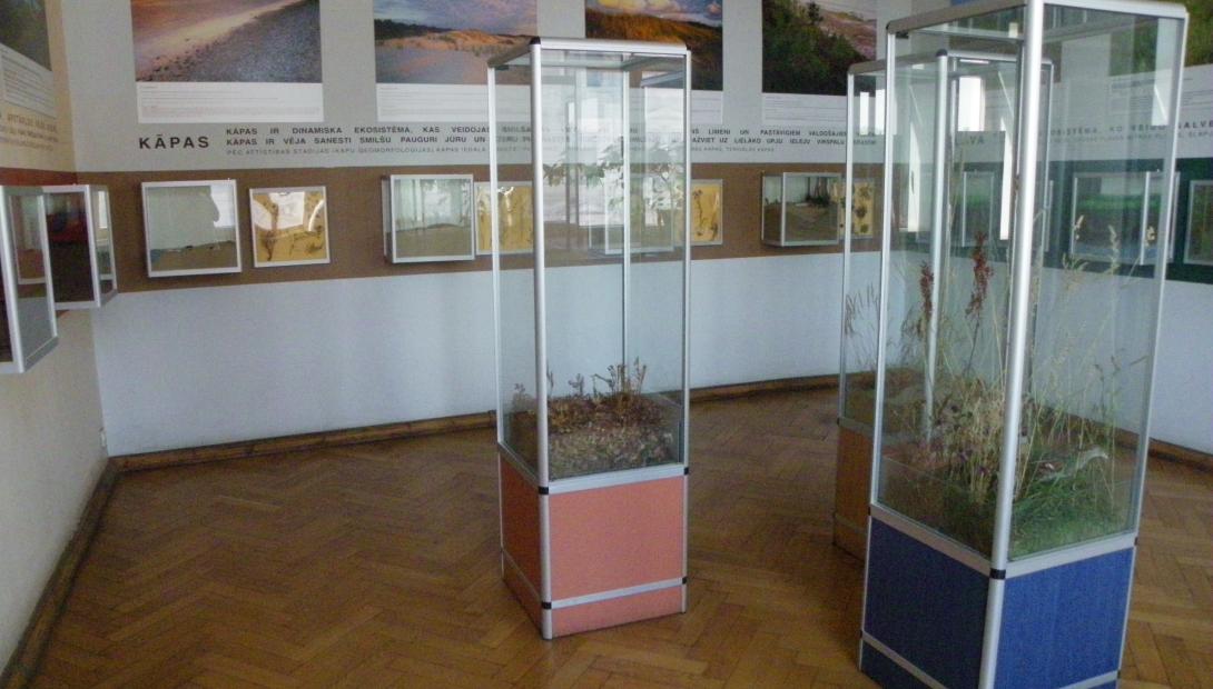 The exhibition “Forest, Meadow, Bog, and Sand Dunes”