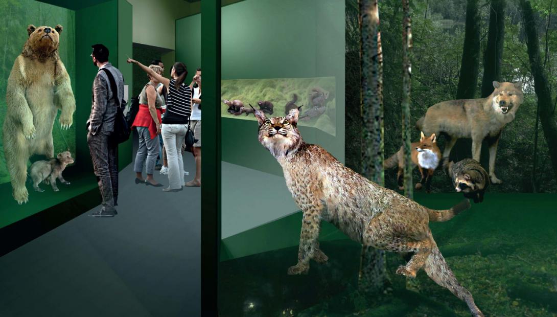 Exhibition "Mammals of Latvia"